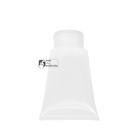 Bisnaga transparente 60 g com Tampa