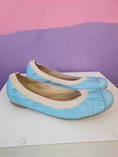 Sapatilha Croco Mr Cat