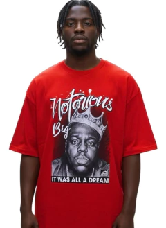 Camiseta rap power oversized notorious big - loja online