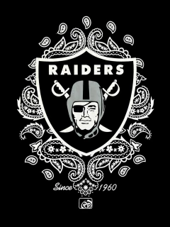 Camiseta rap power oversized Raiders - comprar online