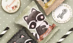 Kit imprimible Mapache Terra PERSONALIZADO - comprar online