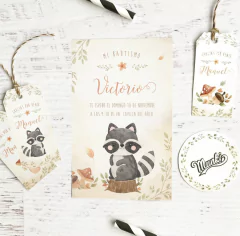 Imagem do Kit imprimible Mapache Terra PERSONALIZADO