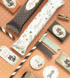 Kit imprimible Mapache Terra PERSONALIZADO - Kits Imprimibles Munki