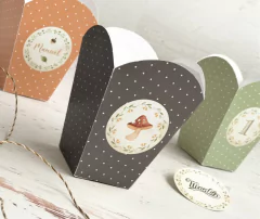 Kit imprimible Mapache Terra PERSONALIZADO - loja online