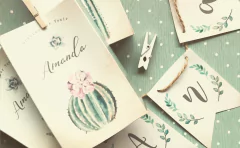 Kit imprimible Suculentas PERSONALIZADO - tienda online
