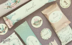 Imagen de Kit imprimible Suculentas PERSONALIZADO
