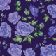 Gardenias-Azul