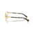 Armação Ralph Lauren RA6060 9004 56