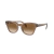 Óculos de Sol Ray Ban RB0707S 664051 50
