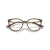 Armação Ray Ban RX7246L 2012 53 - Ótica De Conto - Armação de Óculos de Grau e Óculos de Sol