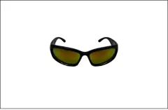 Imagen de GAFAS SWAG