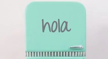 Vinilo Hola