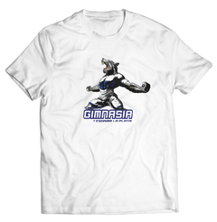 Gimnasia y Esgrima-1