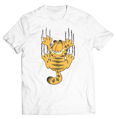 Garfield -1