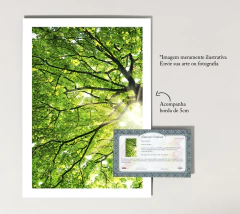 Impressão Fine Art A3 - Canson® Infinity Museum ProCanvas 385 - Tela 100% Algodão - loja online