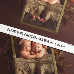 Impressão Fine Art A0 - Canson® Infinity Photoart ProCanvas 395 - Tela - Poli-algodão - comprar online