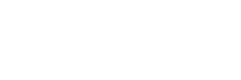 Disfit