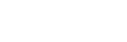 Disfit