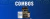 Banner de Disfit