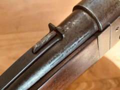 SAVAGE PALANQUERO CAL. 22 SAVAGE HP USADO