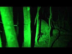 STREAMLIGHT TLR-1 Game Spotter Linterna Tactica de Caza MADE IN USA