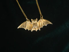 Joya amuleto: dije murciélago collar en internet