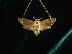 Joya amuleto: Dije polilla collar
