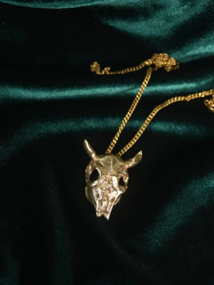 Imagen de Joya amuleto: Dije craneo de vaca collar