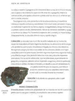 Imagen de Joya amuleto: Dije escarabajo con piedras naturales, de plata y bronce