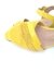 Polinesia Yellow en internet