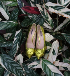 Sapato Emporio Armani