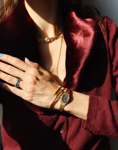 Citizen Quartz Gold Watch on internet