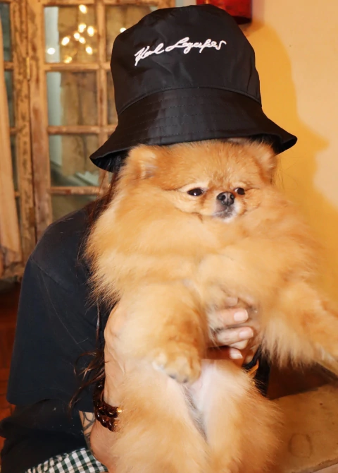 Chapéu Bucket Karl Lagerfeld