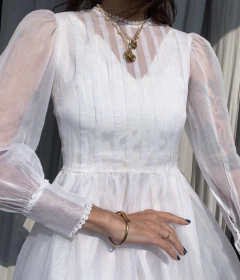 Imagem do Vestido Vintage de organza