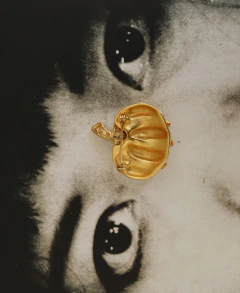 Broche Pumpkin - Frou Frou Vintage – Vintage Store