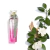 Agua Fresca De Gardenia Musk - Eau de Toilette en internet
