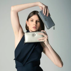 CARTERA PLATA en internet