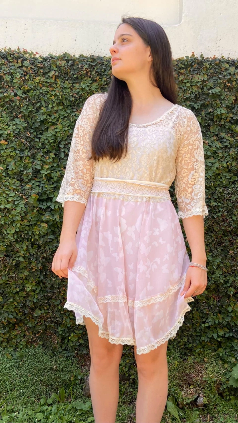 Hortensia Rosa Corto