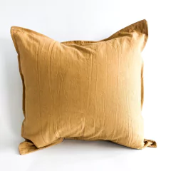 Imagen de Almohadones Antonia 50x50