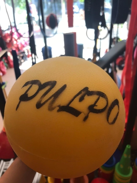 PELOTA PULPO DE PVC - comprar online