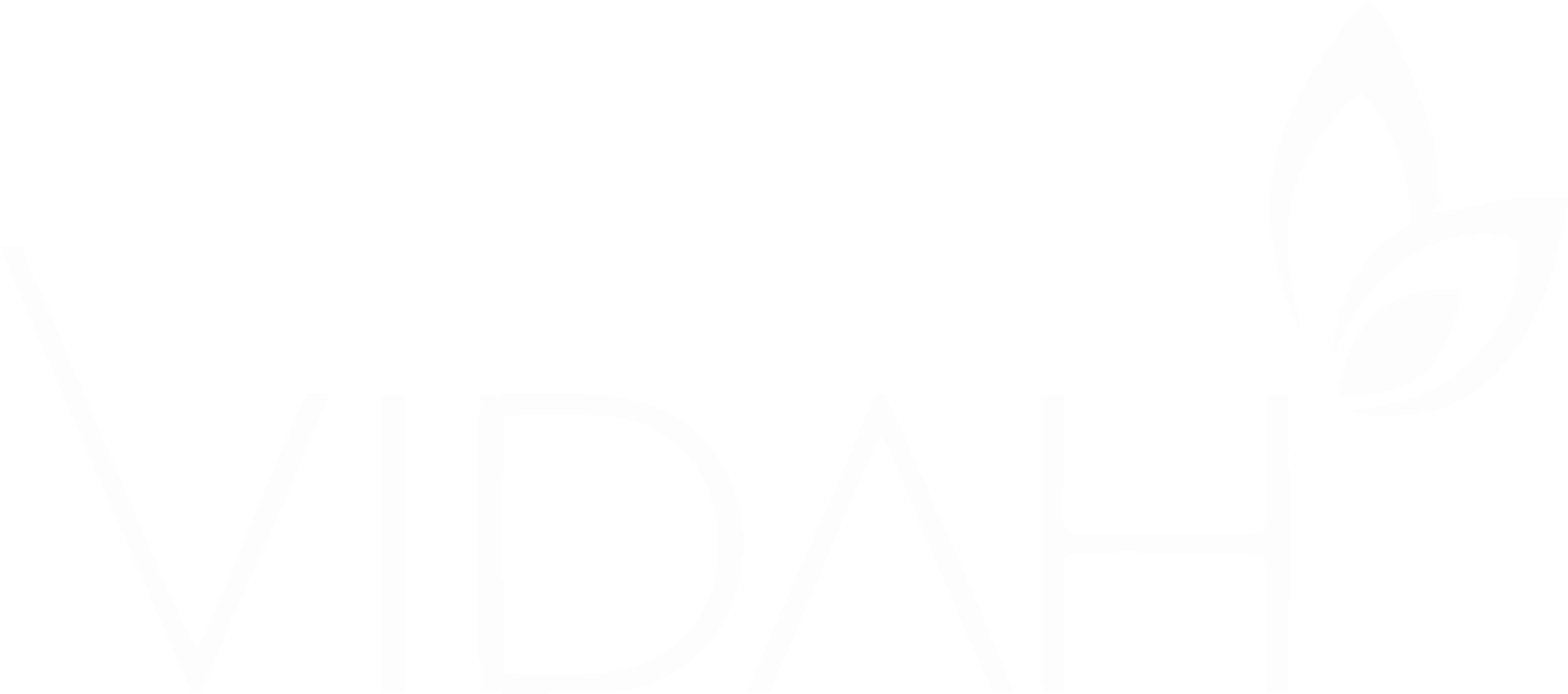 Vidah Cosméticos