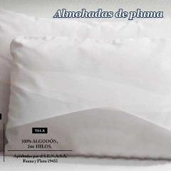 Almohada de Pluma Duvet Pierre Cardin - comprar online