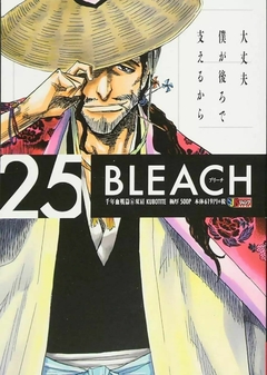 Bleach Remix #25