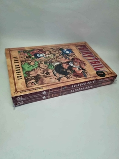 Pack Fairy Tail (Volumes 1 e 2) na internet