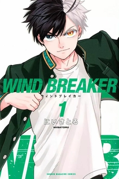 Wind Breaker #01
