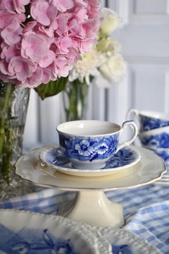 Taza de té con plato de loza inglesa Grindley Trellis