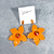 Aros Flower Orange en internet