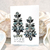 Aros Danubio Dark