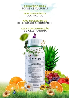 Fitoneem 1 L - Azadiractina 3000 ppm - PARAFLOR