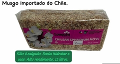 Musgo esfagno IMPORTADO do Chile - Seco e desidratado: pct com 150g eq. a 12 litros hidratado - PARAFLOR